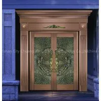 Security Bronze Door