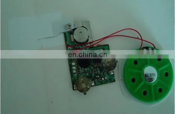 Recordable Sound Module With Push Button photo-2