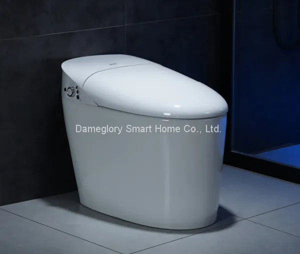 Smart Toilet K19028 Three Memories Fit a Family Intelligent Toilet Hot Selling Model