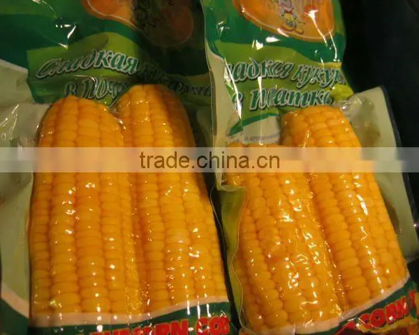 USA Frozen Yellow Sweet Corn Exporting Vietnam photo-3