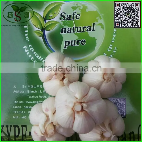 2015 Cang Shan Garlic/Fresh Garlic photo-2