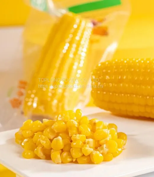 FRESH WAXY CORN photo-2