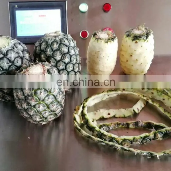 Complete Canned Pineapple Fruit Food Canning /canning Processing Machine/line photo-2