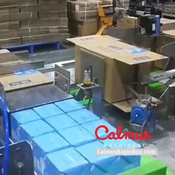 Hi-Speed Cartoning Machine Monoblock Side-Load Case Packer photo-3