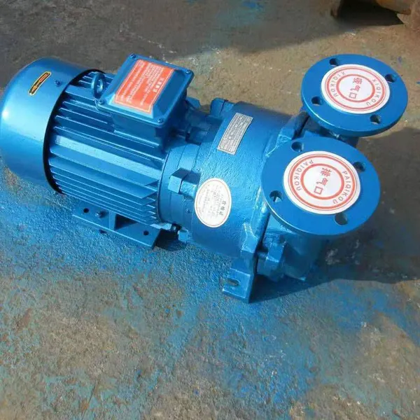 Luoji Pump Industry Supplies 2bv5131 Series Liquid Ring Vacuum Pump Units and Roots Vacuum Pumps photo-2