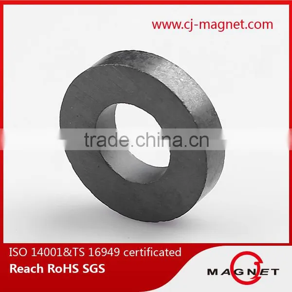 China Y10T Ferrite Magnets for Speakers photo-2
