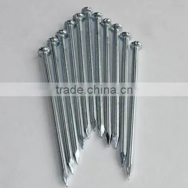 Polished Common Nails/ Common Iron Nail /common Wire Nail photo-2