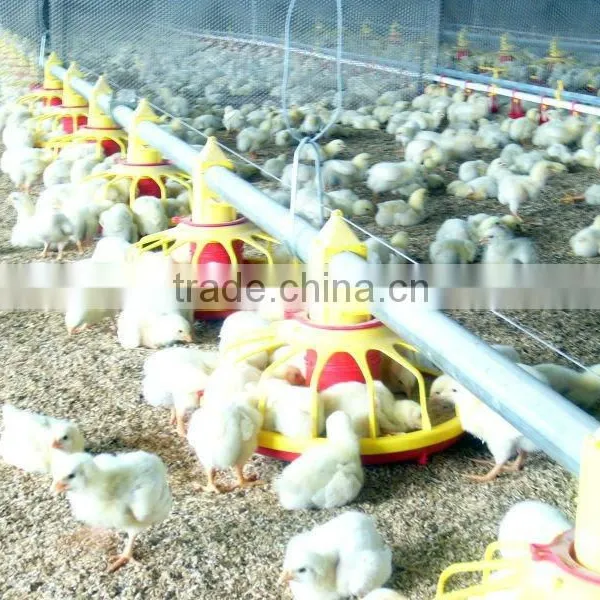 2016 Hottest Sale Chicken and Breeder Used Broiler Breeding Machine photo-4