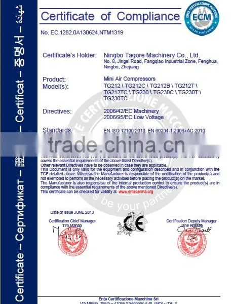 TG212 Air Compressor Tools Ningbo photo-3