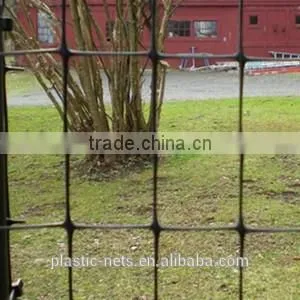 Green Plastic Barrier Fencing Mesh photo-4