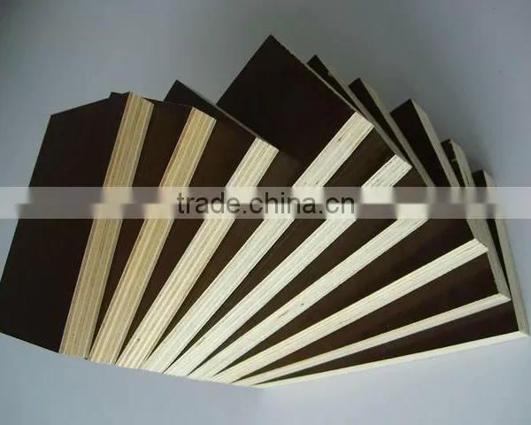 Cedar Veneer Film Faced Plywood photo-5