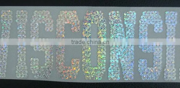 Strass Hotfix Rhinestone Motif in Spangle Sequins Vinyl