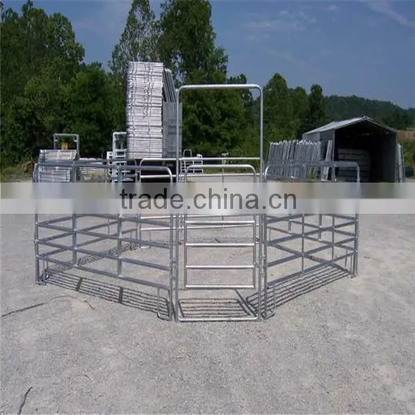 Horse Panels and Paddock
