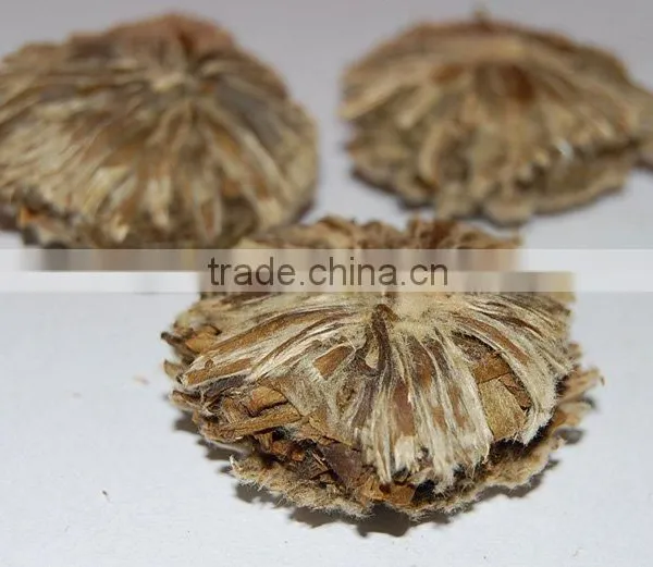 Handcraft White Peony Tea
