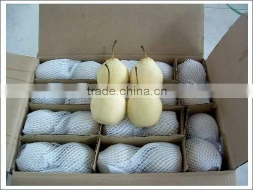 Grade A ya Pear photo-2