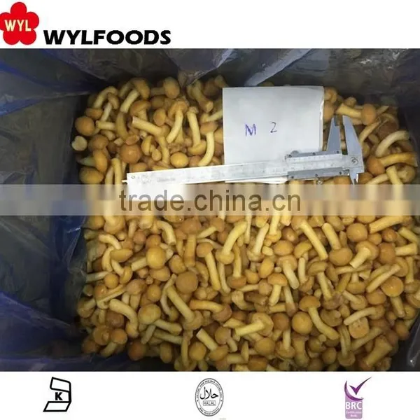 Frozen Nameko Mushroom Price in China photo-2