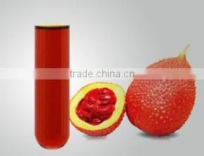 Frozen Gac Puree-applications Like Juices, Sauces, Marinades and Jams/ Processing: Essential Oil, Functional Food, Beverage photo-2