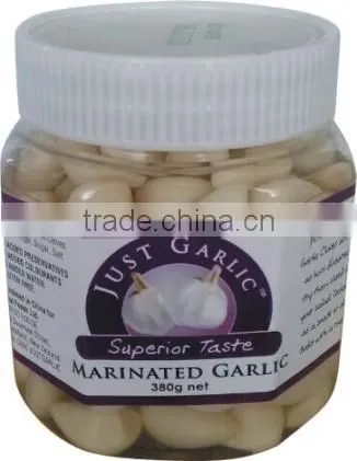 OEM FACTORY CONDIMENTS,NISSIN CONDIMENTS