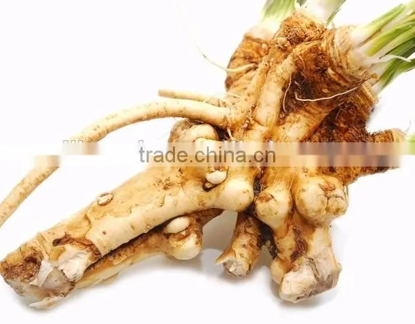 Dry Horseradish photo-5