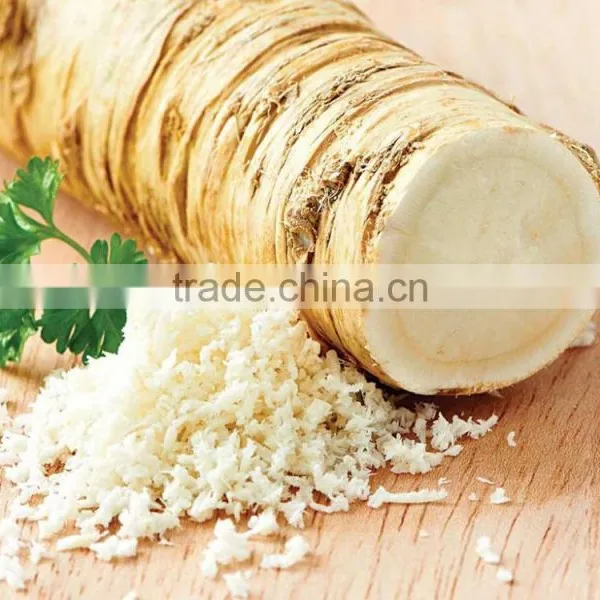 Factory Directly Sale Spicy Horseradish Powder photo-3