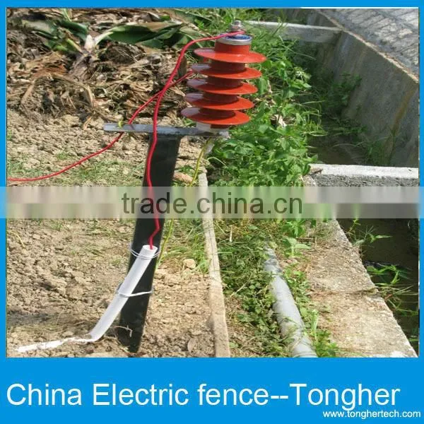 Electric Fencing For Chilken photo-2