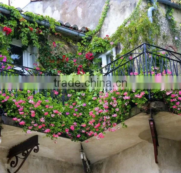 Horticultural Grade Diatomaceous Earth Potting Soil and Hydroponic Growing Medium photo-4