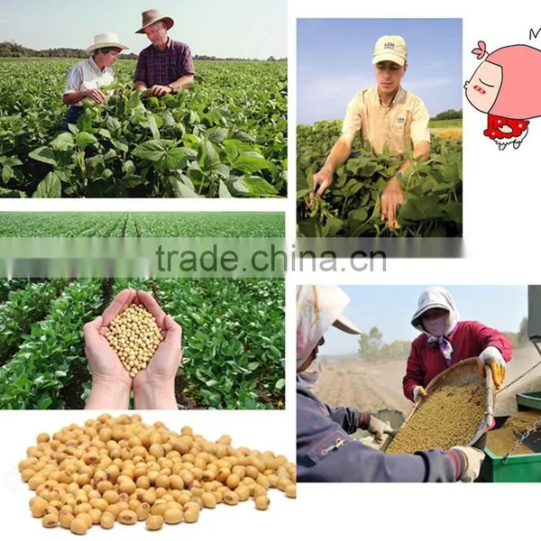 Neweek Agricultural 300-400kg/h Dry Way Soybean Skin Peeling Machine photo-4