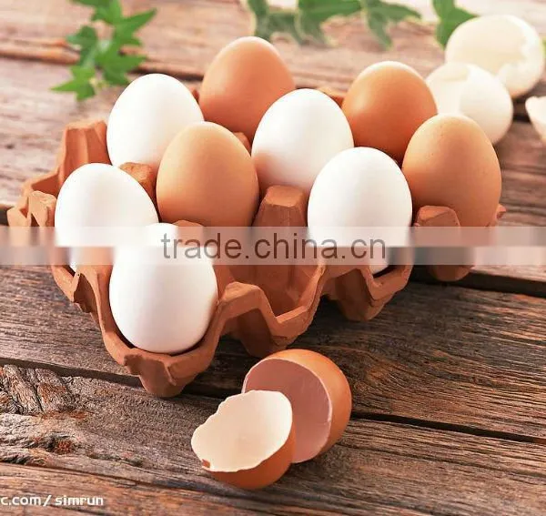 Promotion Egg Cooker for Gift LG-311 China photo-3