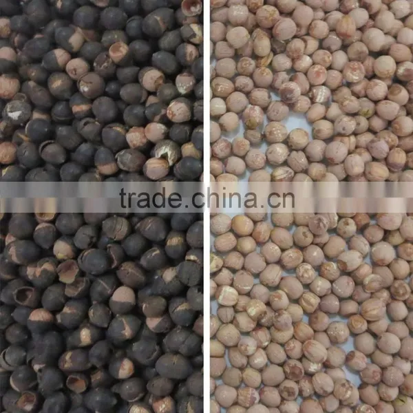 ZRWS Ccd Cereal Nut Color Sorter Supplier With Competitive Price photo-5