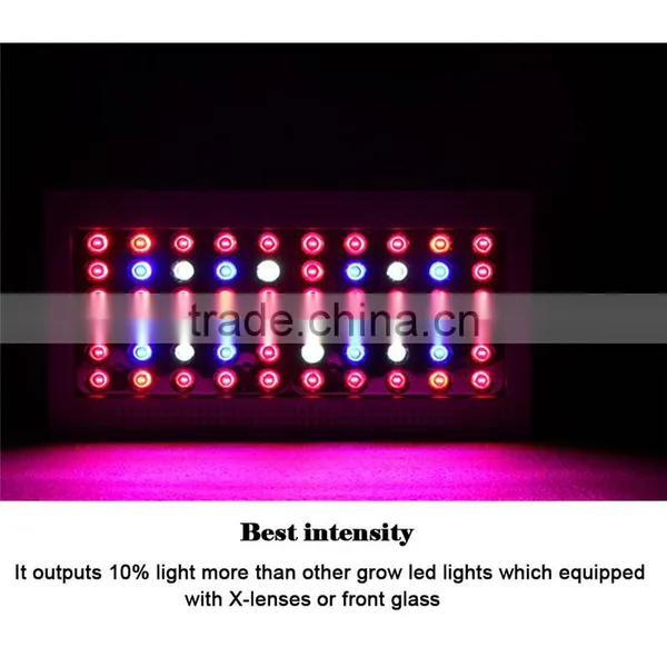 Best Selling Products Agricultural Greenhouse 300w LED Grow Panel Lamp photo-5