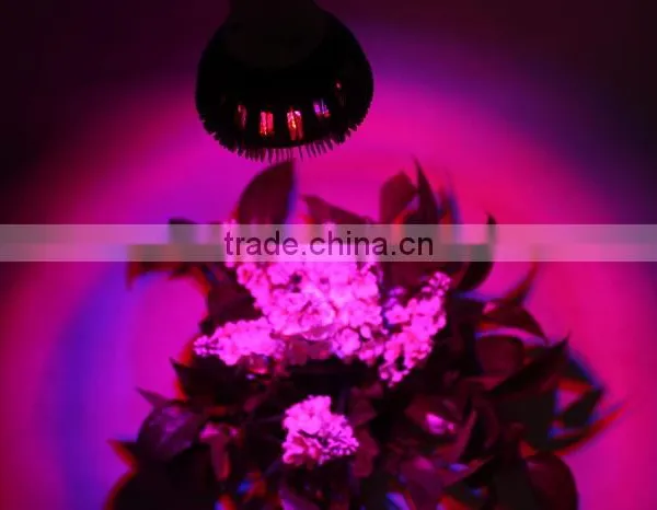 Hot Sales in USA Europe 24w 12w 15W 21W 27W 45W 54W E27 Led Garden Light PAR38 Led Grow Light photo-4
