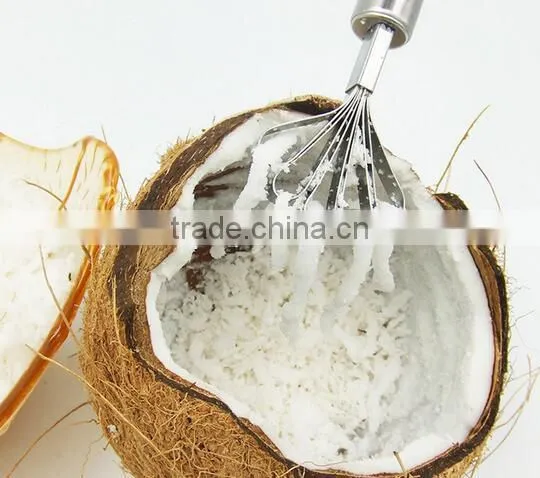 Cheap Stainless Steel Coconut Grater Metal Shredder Coconut Shredder Spiral Slicer photo-2