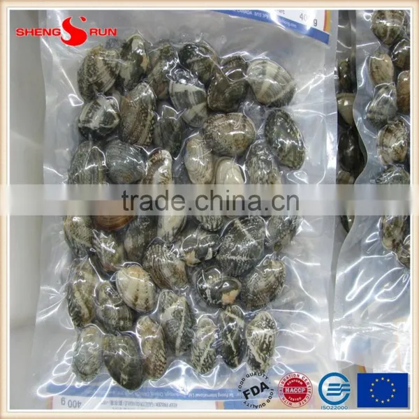 Frozen Boiled Baby Clam photo-2