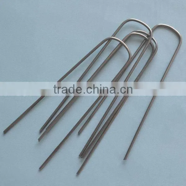 Wire Galvanized Staple photo-2