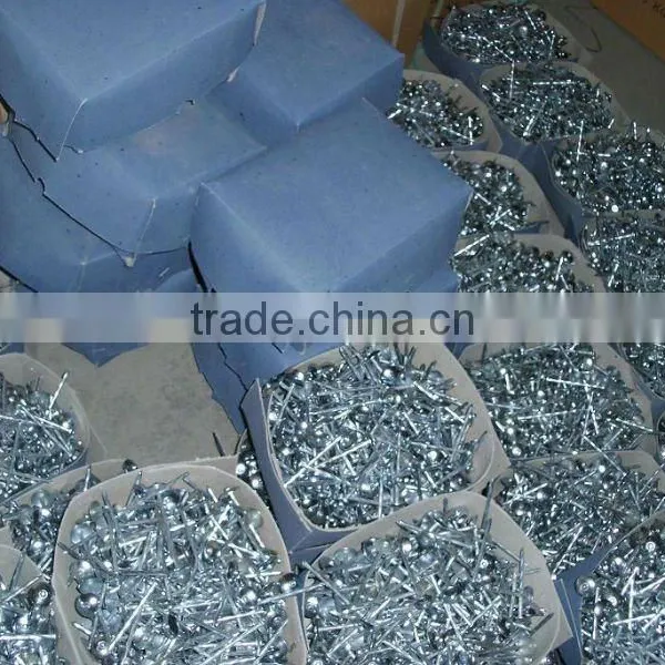 Nigeria Market 7Ibs 8boxes Package High Quality Umbrella Roofing Nails photo-4