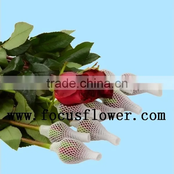 Supply Roses Flowers Fresh Cut White Color Rose Flowers Black Magic Rose With 0.8_1.2kg/bundle From Yunnan photo-2