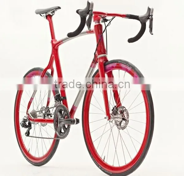 Belt Drive Bike B-2 Stealth and Strategic Bomber photo-2