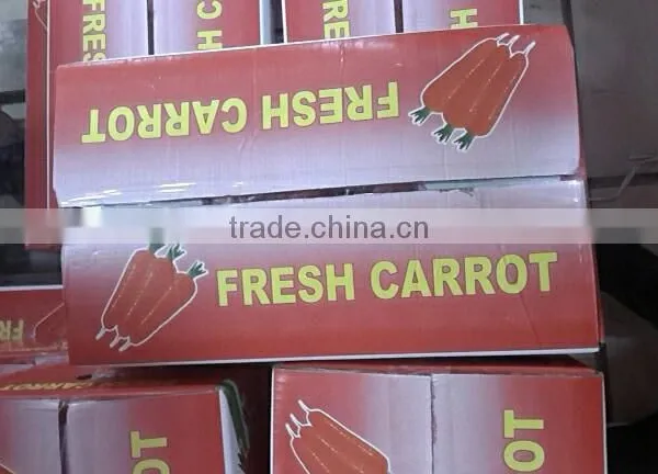Wholesale Chinese Fresh Carrots With High Quality and Good Price photo-3