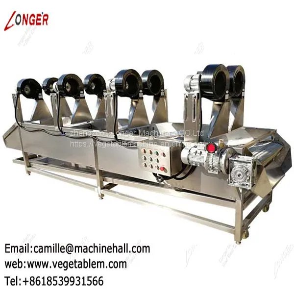 Tomato Washer and Dryer|Fruit and Vegetable Washing and Drying Machine|Strawberry Cleaning Line photo-4