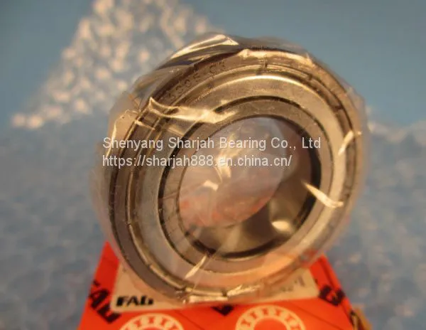 High Speed Quality Original Germany FAG Bearing 6005 2ZR FAG Deep Groove Ball Bearing