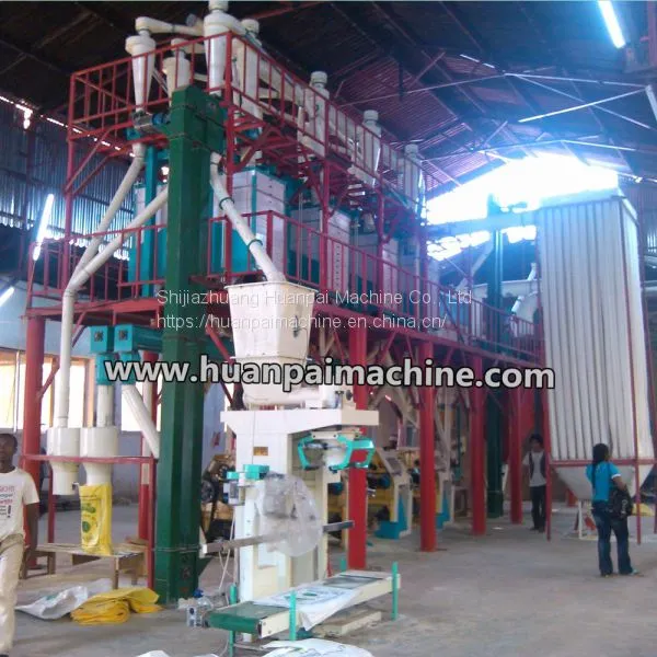 35-60TPD Maize Flour Production Process / Maize Milling Machines / Maize Milling Machine Price photo-3