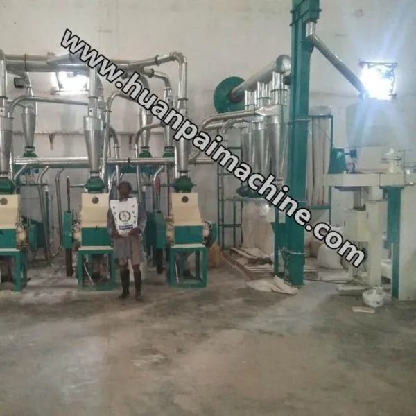 Fully Automatic Small Flour Mill Maize Machine Corn Wheat Grinder Making Machine photo-5