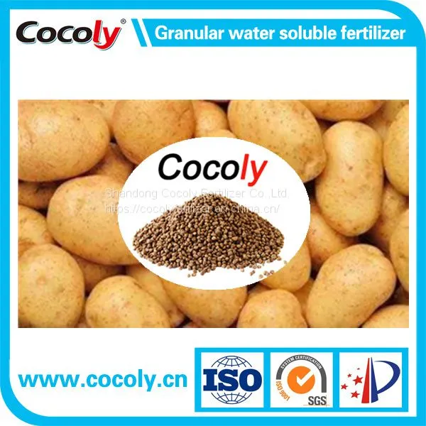 Leonardite Source Humic Acid Cocoly Fertilizer