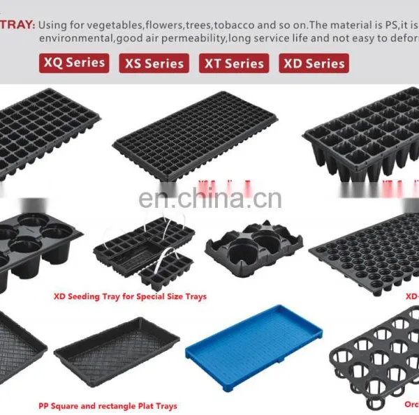 Succulent Plant Pot Tray photo-3