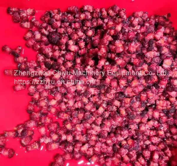 High Efficiency Automatic Fruit Pitting Machine Cherry Pitter Olive Pitter Machine for Fruit Processing Plants photo-2