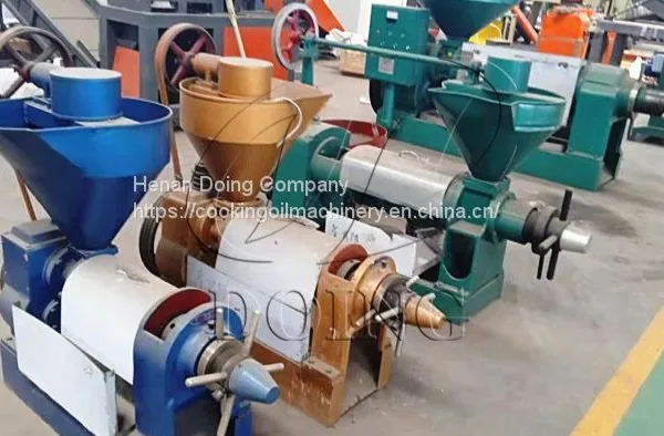 Peanut Oil Press Machine Equipement to Extract Peanut Oil Cooking Oil Process Machine photo-4