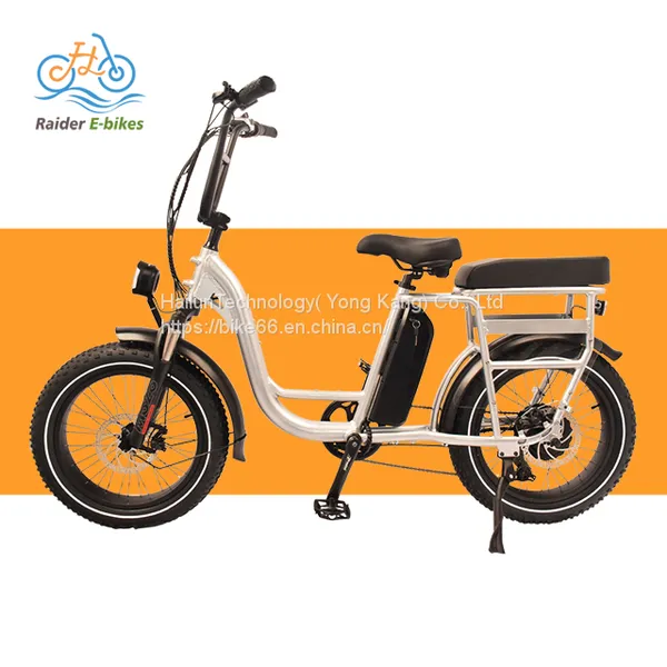 China Mid Drive Vintage Electric Bike for Sale/bicicleta Electrica Ebike /electric Bicycle From Factory