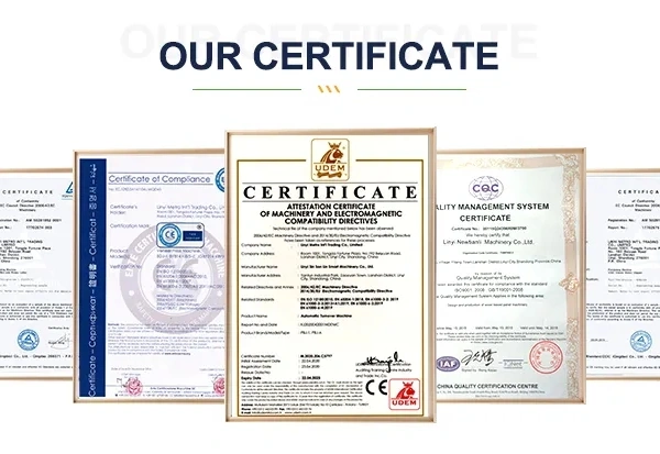 Linyi Sin San Lin Smart Machinery Co., Ltd company overview - view 4