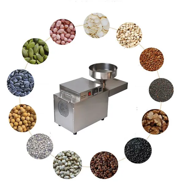 MO-Qdmdch Large Oil Press Machine 2KW 15kg/h 304 Stainless Steel GW023 Cold Hot Automatic Peanut Sesame Seed Oil Extractor photo-5