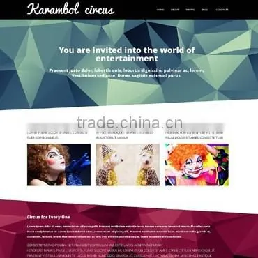 CMS Design photo-5